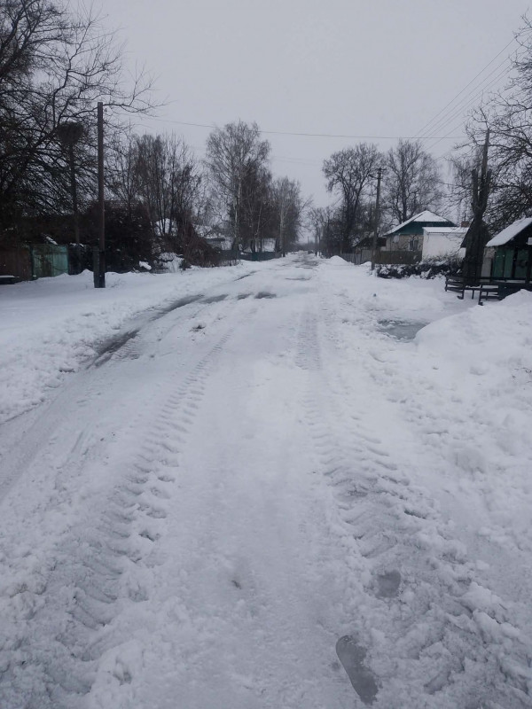 Зимові курчата, боротьба зі снігом і неймовірний оптимізм: життя родини блогерів із Чернігівщини (Фото, відео)