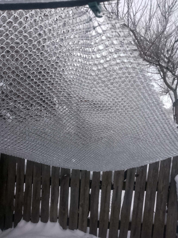 Зимові курчата, боротьба зі снігом і неймовірний оптимізм: життя родини блогерів із Чернігівщини (Фото, відео)