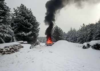 На Чернігівщині російський FPV-дрон знищив службове авто лісівників