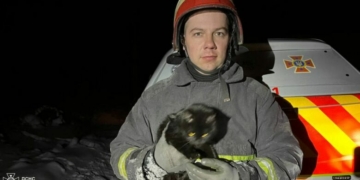 На Чернігівщині надзвичайними врятували кошеня, яке впало до покинутого колодязя
