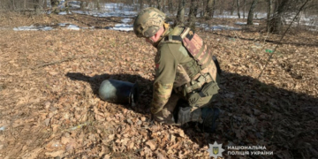 Вибухотехніки знешкодили бойову частину російського БпЛА, який виявили у Чернігівському районі