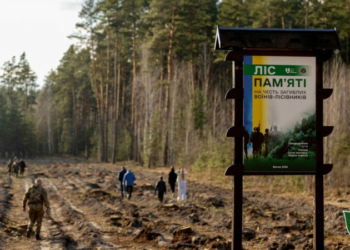«Ліс пам’яті» висадили на Чернігівщині на честь загиблого воїна-лісівника Андрія Трихліба