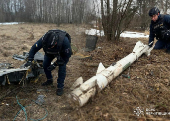 Сапери ДСНС виявили та знищили уламки російських ракет та БпЛА на території трьох районів Чернігівської області