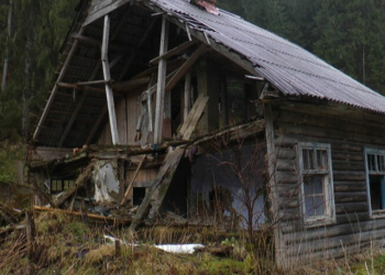 Село-привид: на Чернігівщині є село, де зареєстровані чотири пам’ятки природи, проте не лишилось жодного жителя