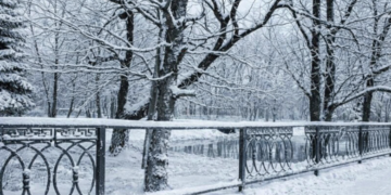 Сумний фінал гідропарку: влада Сновська не виплатила зарплату працівникам і ліквідовує комунальну організацію