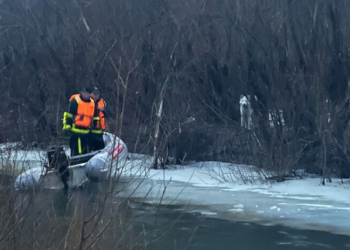 У Чернігові собака застряг посеред Десни (Фото)