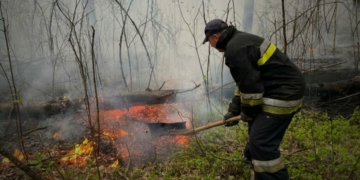 У Чернігівському районі горить 100 га лісу