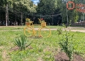 Арка з велосипедів: молодь у «Шанхаї » на Чернігівщині не відмовляється від ідеї креативної локації