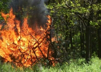 На Чернігівщині оголосили надзвичайну пожежну небезпеку
