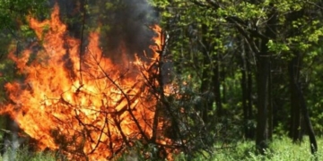 На Чернігівщині оголосили надзвичайну пожежну небезпеку