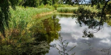 На Чернігівщині погіршився стан річки Остер