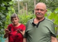 «На картоплі вбиваєшся, а тут і сили додається»: на Чернігівщині подружжя пенсіонерів на городі вирощує виноград
