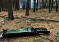 На Чернігівщині найбільше пожеж у лісах через російські удари