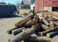 «Чорним лісорубам», причетних до масштабної вирубки лісу, повідомлено про підозру