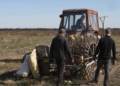 Фермер з Чернігівщини третій рік вирощує гарбузи на насіння, а його помічник розробляє та майструє для цього техніку