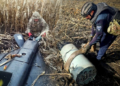 Бойові частини ракети Х-101 та російських безпілотників знищили вибухотехніки на Чернігівщині